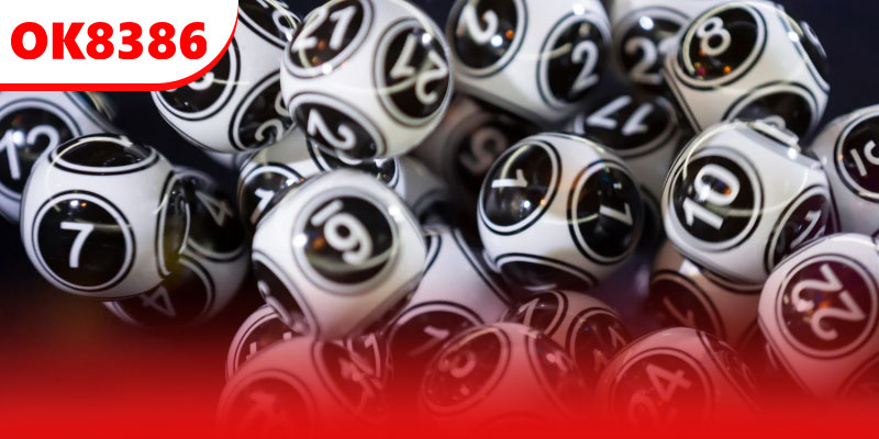 Một số điểm lưu ý khi nuôi lô khung 3 ngày 